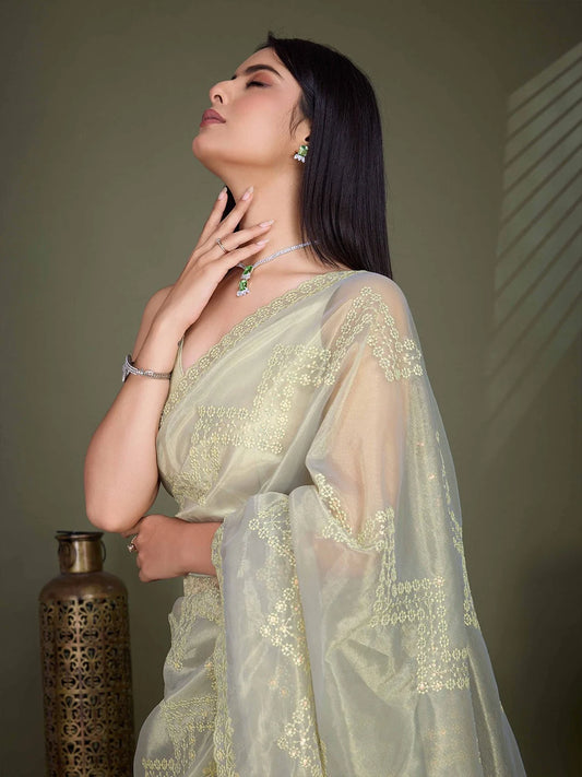 Pistachio Green Net Embroidered Shimmer Saree