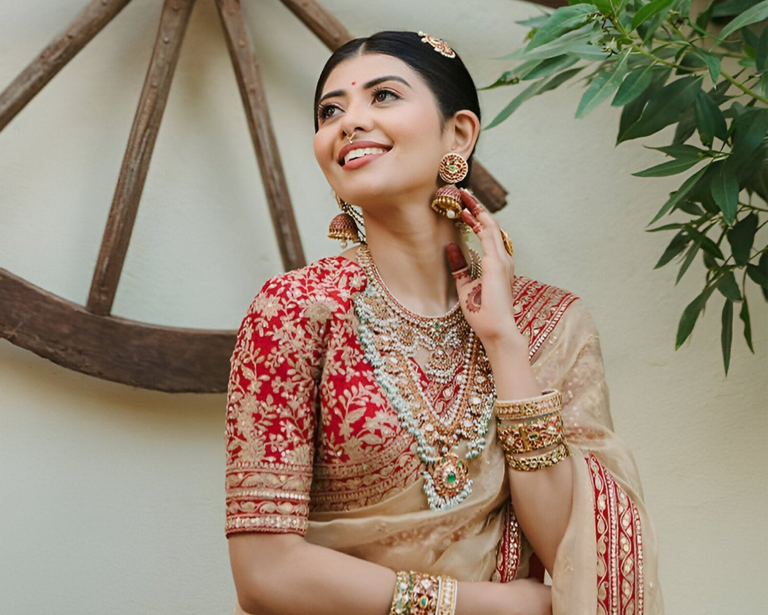 Organza Sarees