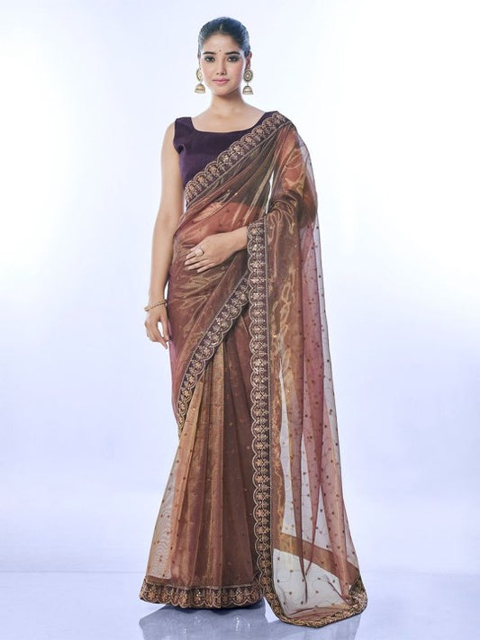 Brown Net Saree with Sequin Embroidery